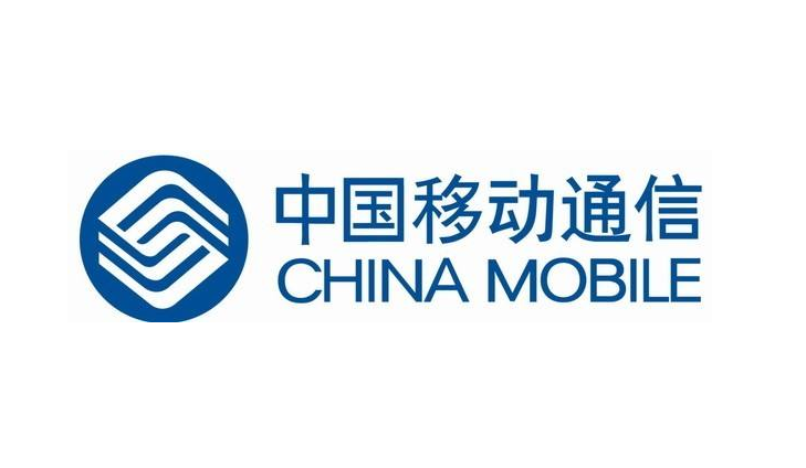 【中*移动上海嘉定项目】91视频APP在线下载案例